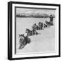 Dog Sledding Team-Nat Farbman-Framed Photographic Print