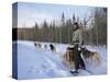 Dog Sledding with Aventure Inukshuk, Quebec, Canada-Alison Wright-Stretched Canvas