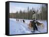 Dog Sledding with Aventure Inukshuk, Quebec, Canada-Alison Wright-Framed Stretched Canvas
