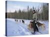 Dog Sledding with Aventure Inukshuk, Quebec, Canada-Alison Wright-Stretched Canvas