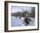 Dog Sledding with Aventure Inukshuk, Quebec, Canada-Alison Wright-Framed Photographic Print