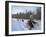 Dog Sledding with Aventure Inukshuk, Quebec, Canada-Alison Wright-Framed Photographic Print