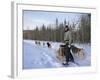 Dog Sledding with Aventure Inukshuk, Quebec, Canada-Alison Wright-Framed Photographic Print