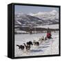 Dog Sledding With Huskies, Tromso Wilderness Centre, Norway, Scandinavia, Europe-null-Framed Stretched Canvas