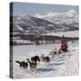 Dog Sledding With Huskies, Tromso Wilderness Centre, Norway, Scandinavia, Europe-null-Stretched Canvas