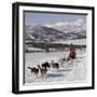 Dog Sledding With Huskies, Tromso Wilderness Centre, Norway, Scandinavia, Europe-null-Framed Photographic Print