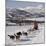 Dog Sledding With Huskies, Tromso Wilderness Centre, Norway, Scandinavia, Europe-null-Mounted Photographic Print