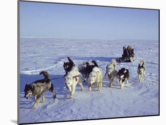Dog Sledding-null-Mounted Photographic Print
