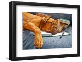 Dog Sleeping In Her Notebook After Studying-vitalytitov-Framed Photographic Print