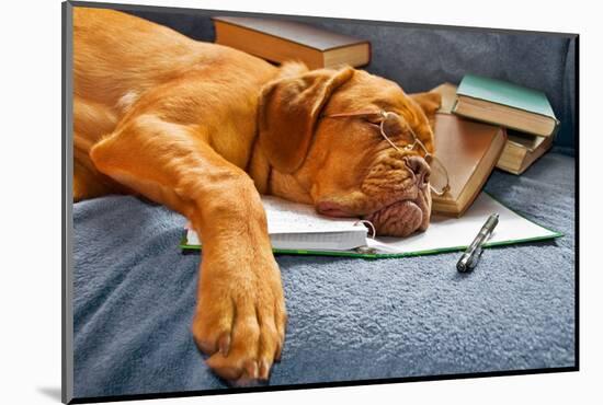 Dog Sleeping In Her Notebook After Studying-vitalytitov-Mounted Photographic Print