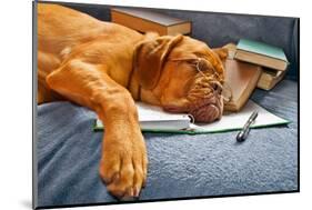 Dog Sleeping In Her Notebook After Studying-vitalytitov-Mounted Photographic Print