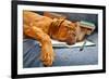 Dog Sleeping In Her Notebook After Studying-vitalytitov-Framed Photographic Print