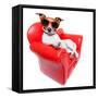 Dog Sofa-Javier Brosch-Framed Stretched Canvas