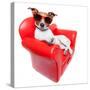 Dog Sofa-Javier Brosch-Stretched Canvas
