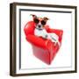 Dog Sofa-Javier Brosch-Framed Photographic Print