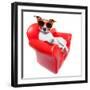 Dog Sofa-Javier Brosch-Framed Photographic Print