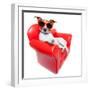 Dog Sofa-Javier Brosch-Framed Photographic Print