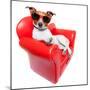 Dog Sofa-Javier Brosch-Mounted Photographic Print