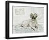 Dog Study I-Stellar Design Studio-Framed Art Print