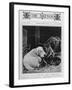 Dog Study-null-Framed Photographic Print