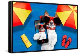 Dog Summer Beach Selfie-Javier Brosch-Framed Stretched Canvas