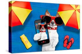 Dog Summer Beach Selfie-Javier Brosch-Stretched Canvas