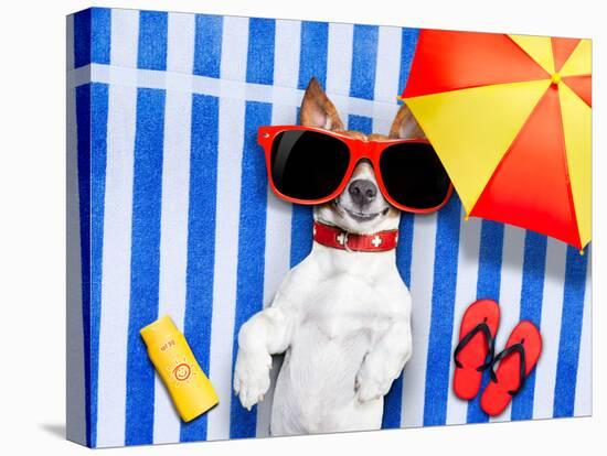 Dog Summer Beach-Javier Brosch-Stretched Canvas