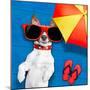 Dog Summer Beach-Javier Brosch-Mounted Photographic Print