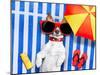 Dog Summer Beach-Javier Brosch-Mounted Photographic Print