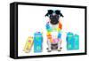 Dog Summer Vacation-Javier Brosch-Framed Stretched Canvas