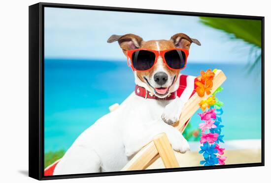 Dog Summer Vacation-Javier Brosch-Framed Stretched Canvas