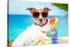 Dog Summer Vacation-Javier Brosch-Stretched Canvas