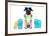 Dog Summer Vacation-Javier Brosch-Framed Photographic Print