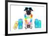 Dog Summer Vacation-Javier Brosch-Framed Photographic Print