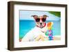 Dog Summer Vacation-Javier Brosch-Framed Photographic Print