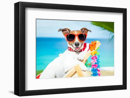 Dog Summer Vacation-Javier Brosch-Framed Photographic Print