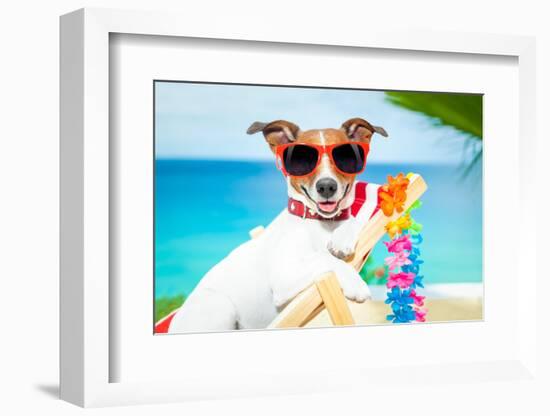 Dog Summer Vacation-Javier Brosch-Framed Photographic Print