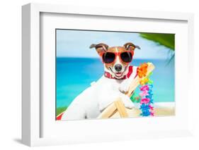 Dog Summer Vacation-Javier Brosch-Framed Photographic Print