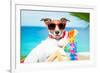 Dog Summer Vacation-Javier Brosch-Framed Photographic Print