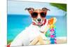 Dog Summer Vacation-Javier Brosch-Mounted Photographic Print