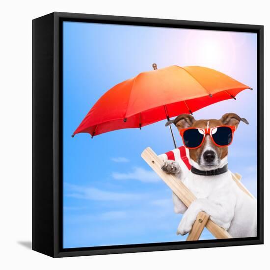 Dog Sunbathing On A Deck Chair-Javier Brosch-Framed Stretched Canvas