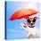 Dog Sunbathing On A Deck Chair-Javier Brosch-Stretched Canvas