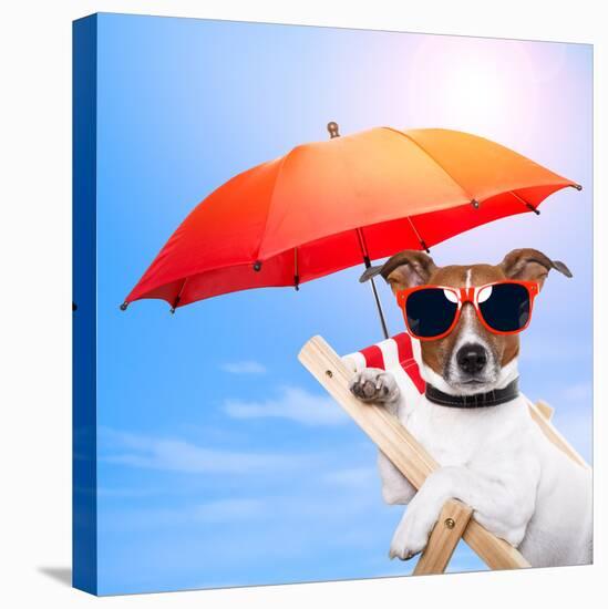 Dog Sunbathing On A Deck Chair-Javier Brosch-Stretched Canvas