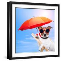 Dog Sunbathing On A Deck Chair-Javier Brosch-Framed Photographic Print