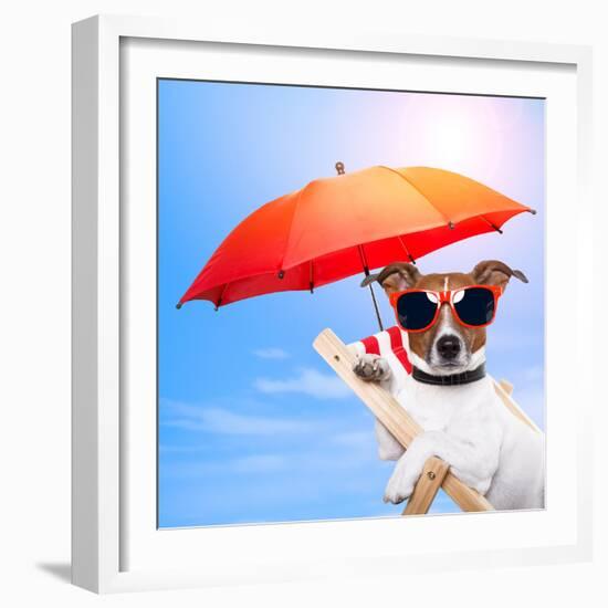 Dog Sunbathing On A Deck Chair-Javier Brosch-Framed Photographic Print