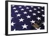 Dog Tag On American Flag-Sergey-USSR-Framed Art Print