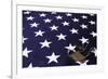 Dog Tag On American Flag-Sergey-USSR-Framed Art Print