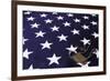 Dog Tag On American Flag-Sergey-USSR-Framed Art Print