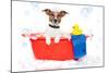 Dog Taking A Bath in A Colorful Bathtub with A Plastic Duck-Javier Brosch-Mounted Photographic Print