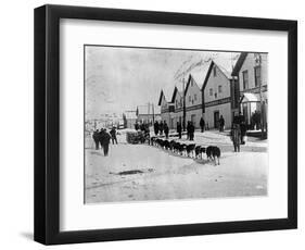 Dog Team (Dawson, Alaska)-Joe Smith-Framed Photographic Print